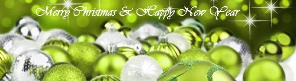 Season's Greetings from NSP National Executive Council Season's Greetings from NSP National Executive Council